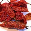 Bhut-Jolokia-Dried-Pods-GHOST-Chilli-The-_1